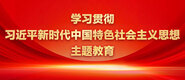 插鸡巴视频免费久久学习贯彻习近平新时代中国特色社会主义思想主题教育_fororder_ad-371X160(2)